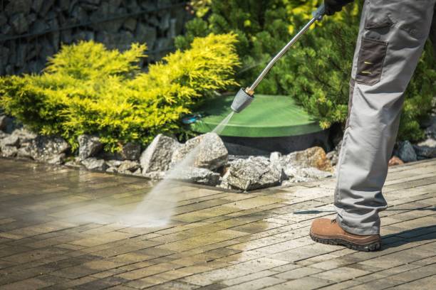 Best Pre-Holiday Cleaning  in Thomaston, NY