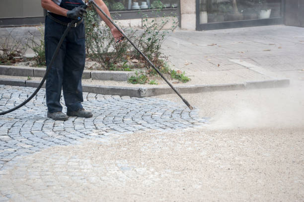 Best Animal Enclosure Cleaning  in Thomaston, NY